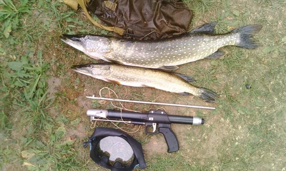 Подвох- это значит ПОДВодный ОХотник)