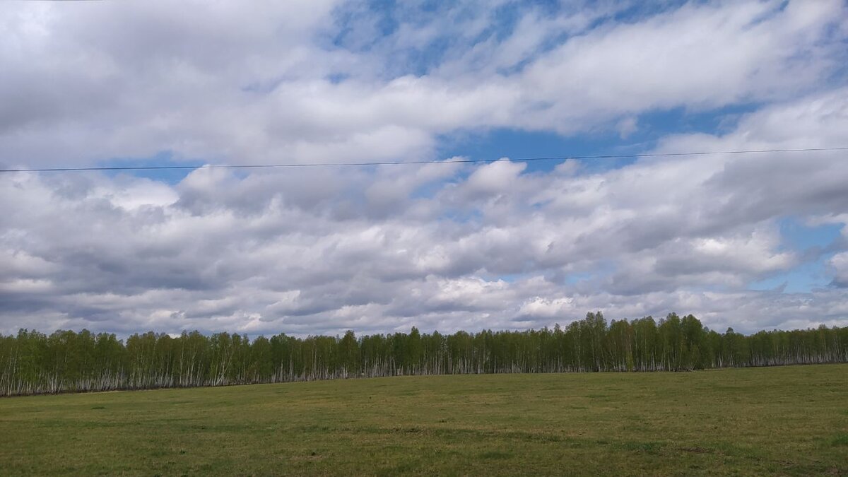 Личное фото.