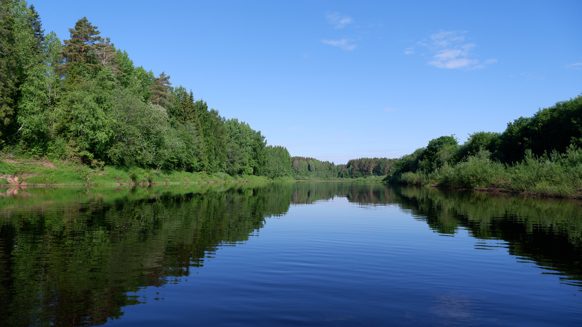 Утро на реке Паша