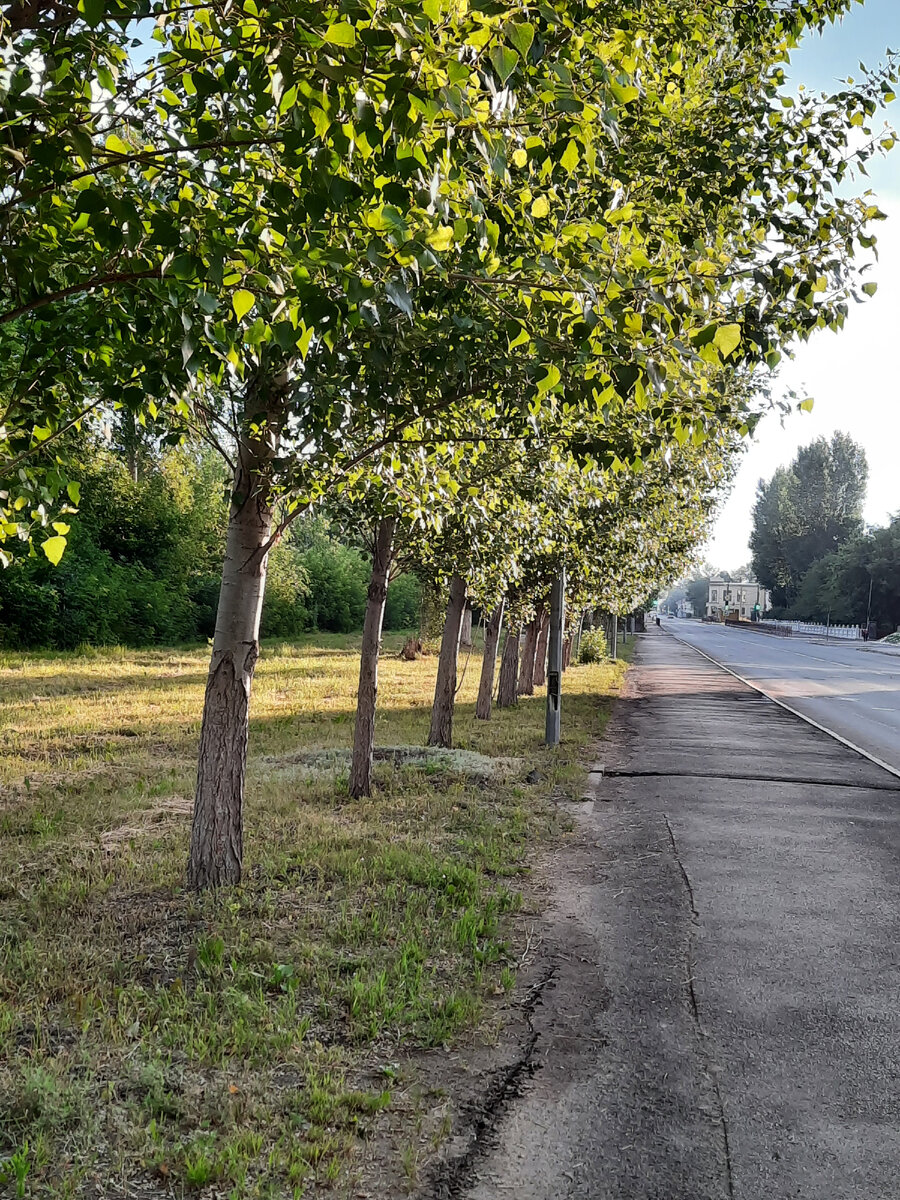 Наш старый парк в это время особенно красив 