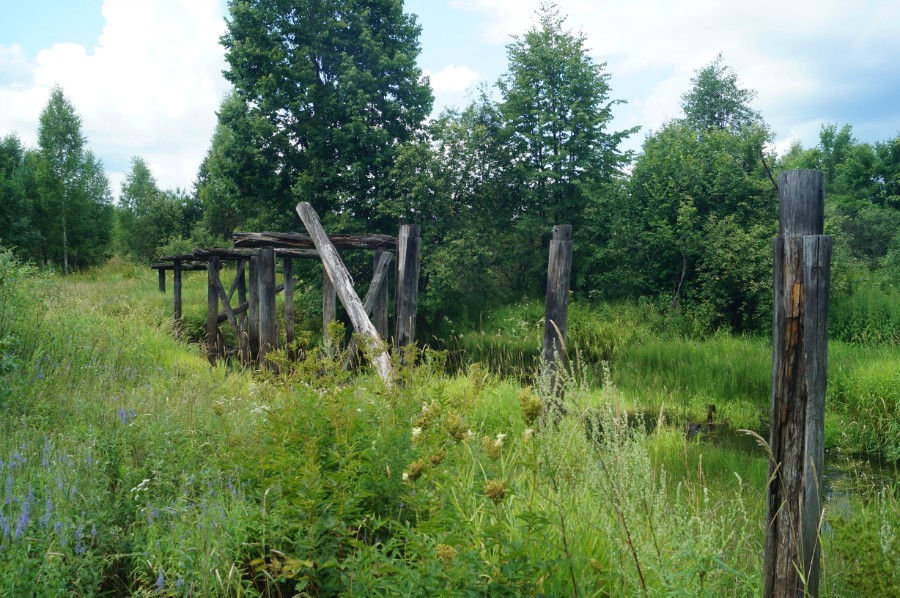 Жители Кубы в тайге Нижегородской области  Пленные мадьяры и украинцы