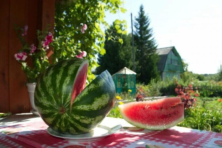 Иллюстрация с сайта Яндекс.картинки 