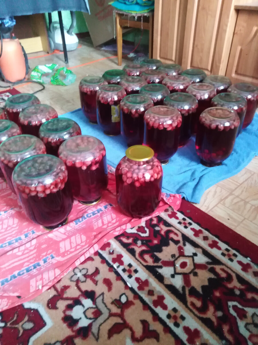 Компотик