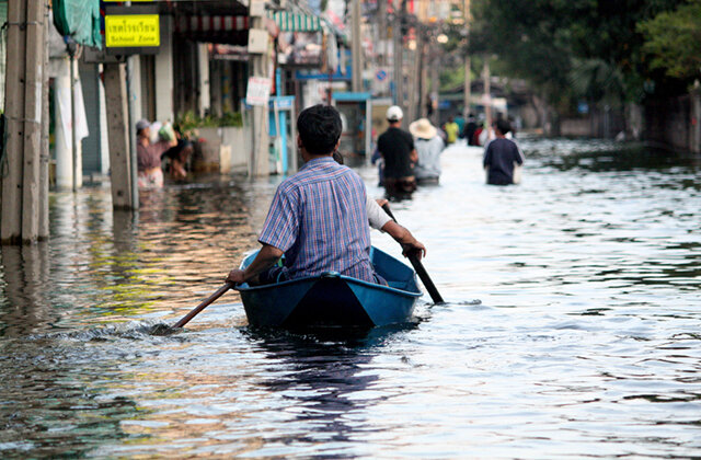     Фото: Shutterstock.com