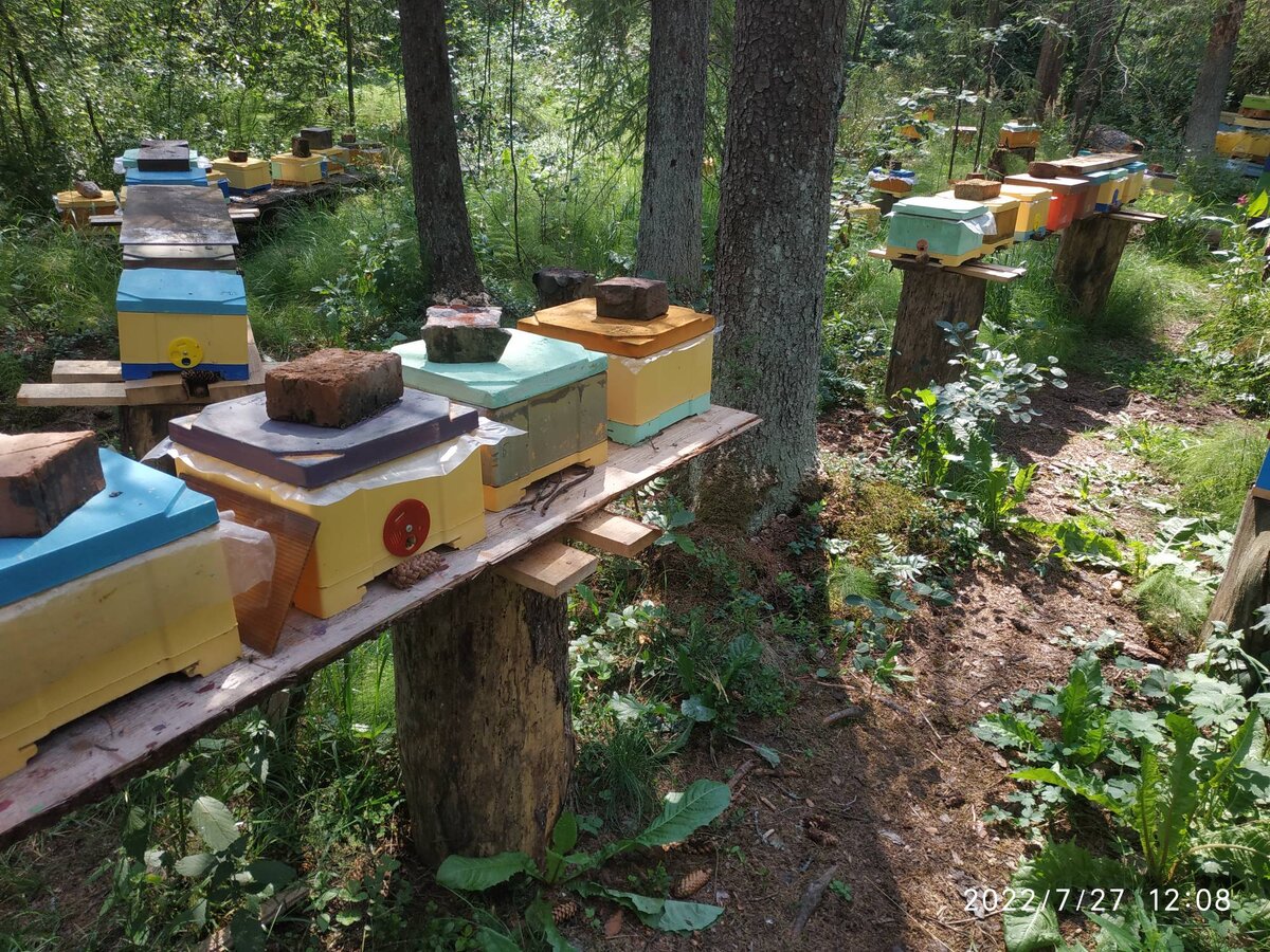 Ножки для нуклеусов настолько  суровы, что по 35см.