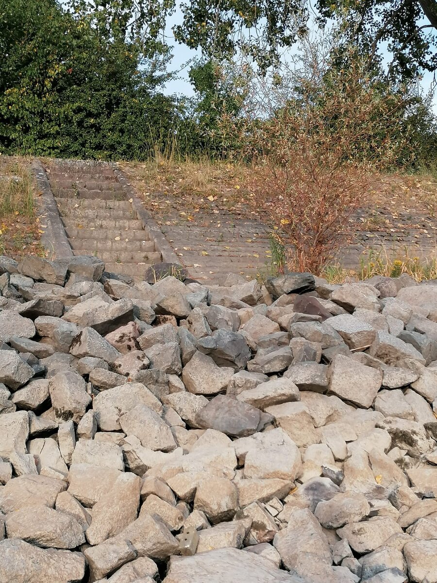 Дно Рейна. Эта лестница вела к воде.