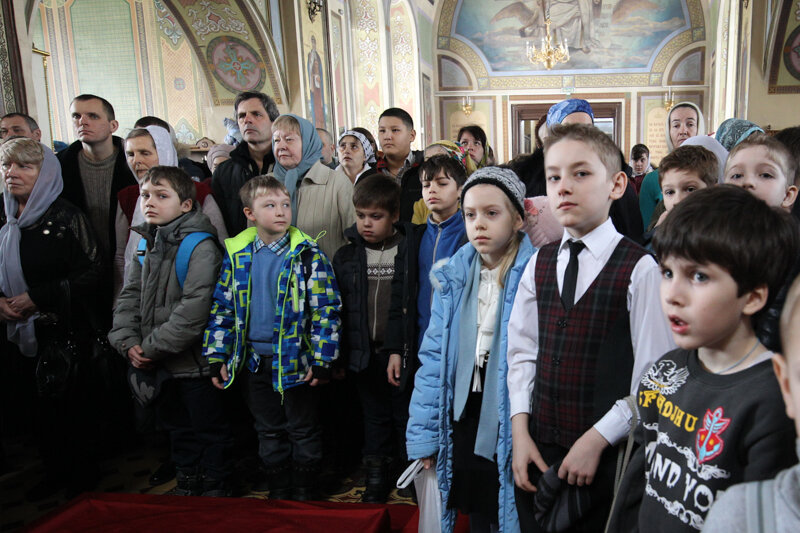 В статье использованы фото Алексея Лузгана и Екатерины Шматко (Ульяновой)