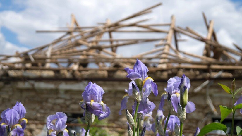   РИА Новости Иван Родионов
