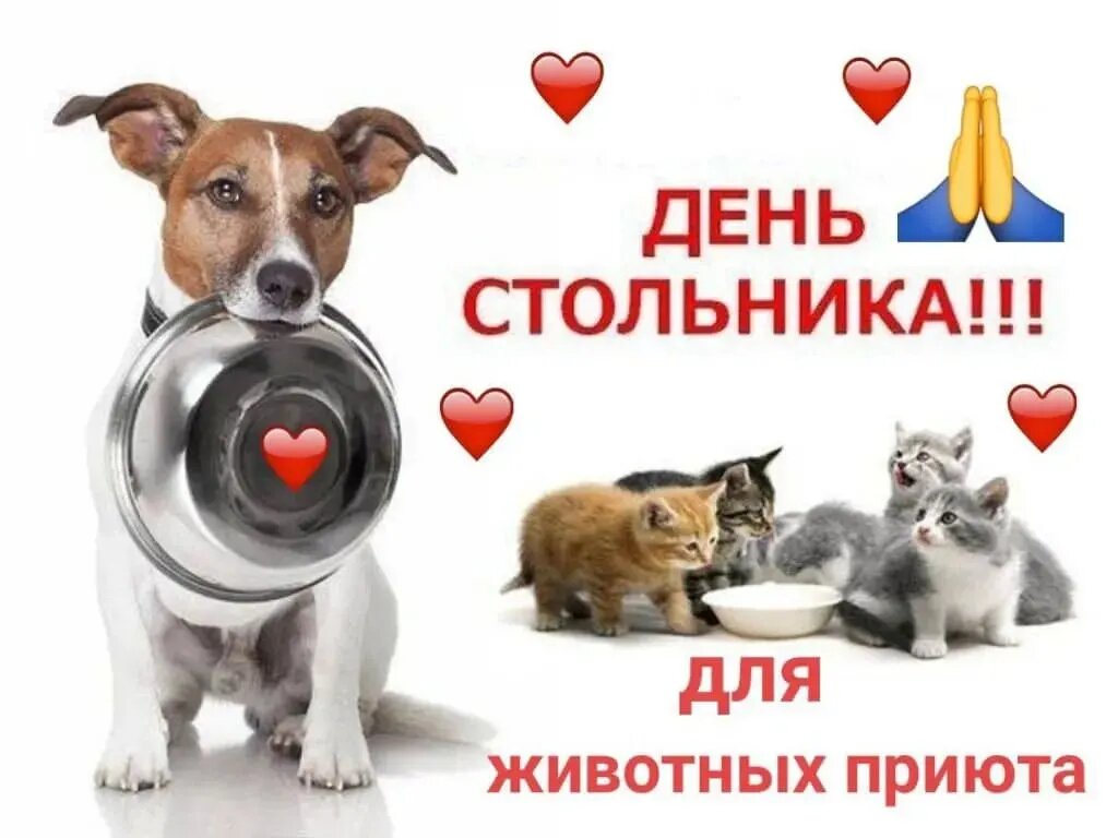 Помощь приюту для животных. Помощь приюту для животных. Фон приют для животных. Помощь приюту для животных. Помощь приюту для животных.