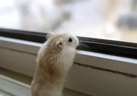 Он улетел, но обещал вернутся...