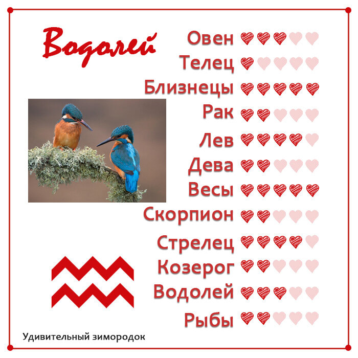 [84%] Совместимость Весов и Водолея: Бизнес, Любовь, Секс, Брак, Дружба