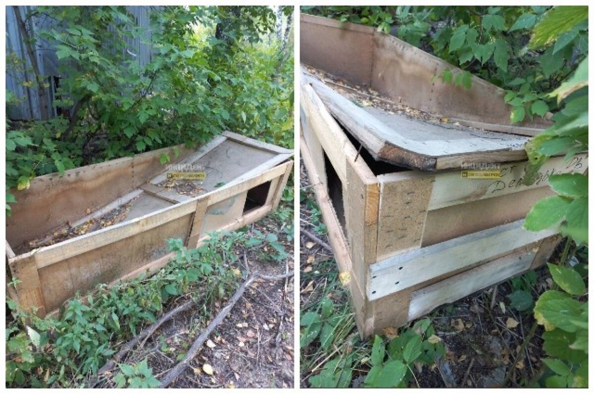    Деревянный ящик с фамилией погибшего нашли в лесу в Новосибирске