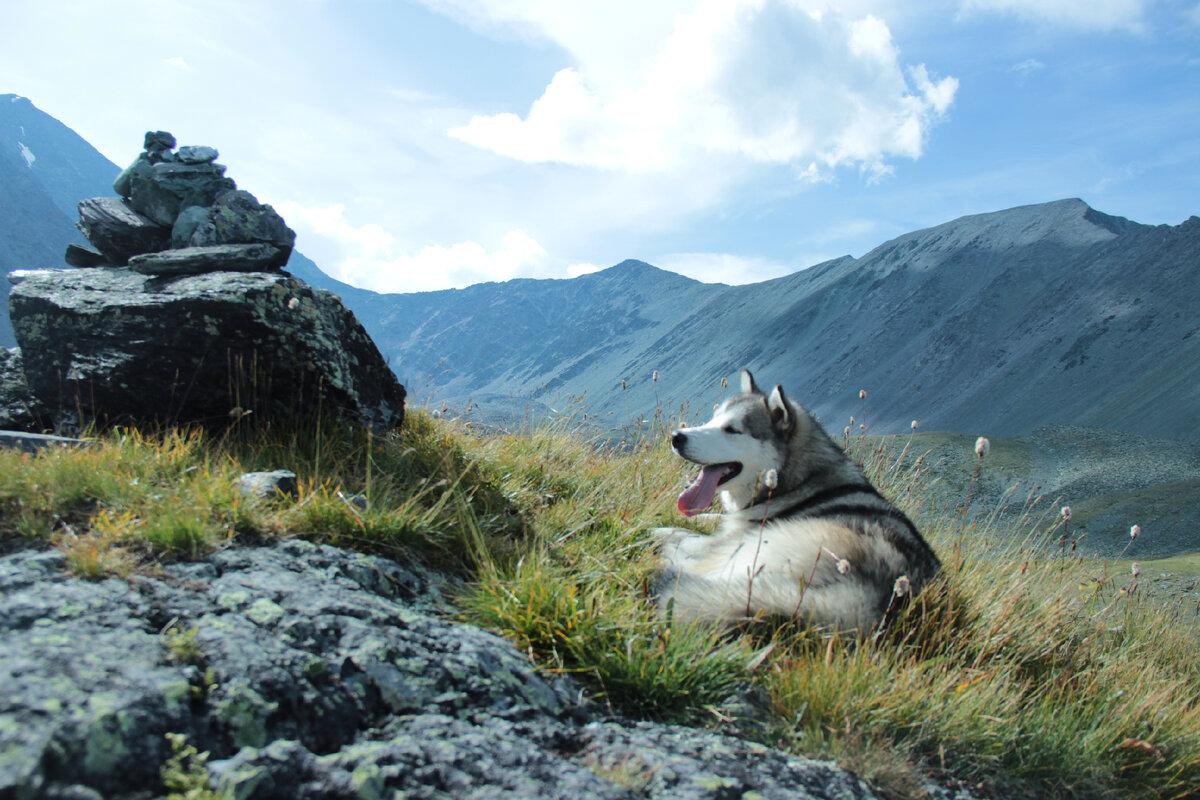 Монтана, фото Ксюши на верхушке перевала Кара-Тюрек