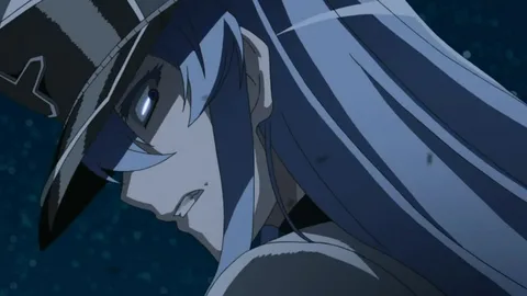 Эсдес из Убийца Акамэ! / Akame ga Kill!