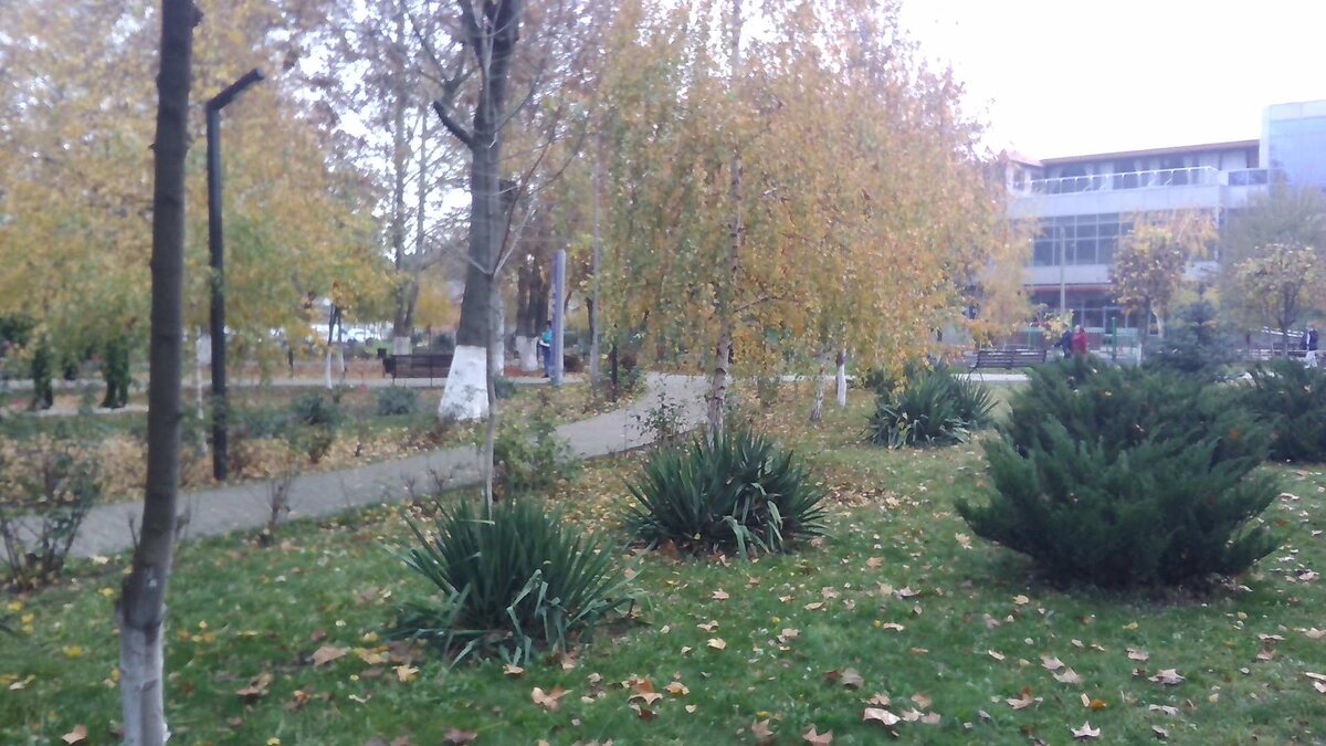 Любимый парк рядом с домом. Снимки прошлогодние, сейчас там всё ещё в зелени. Листайте галерею влево.