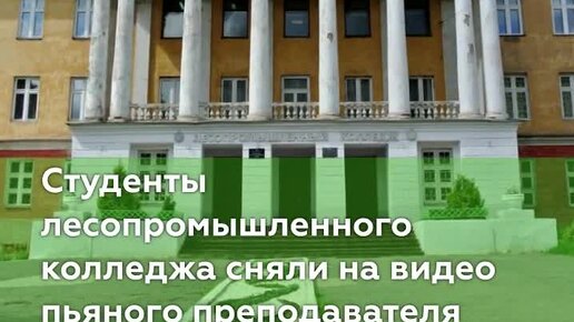 Четверо пьяных студентов в Тамбове истязали кота и выложили видео в Сеть