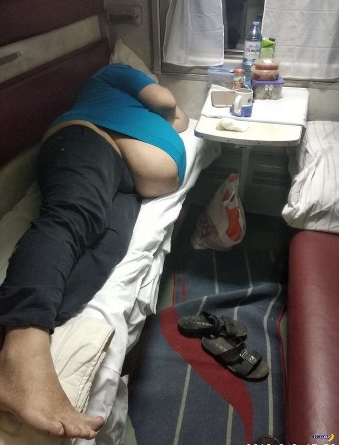 Картинка из яндекса 