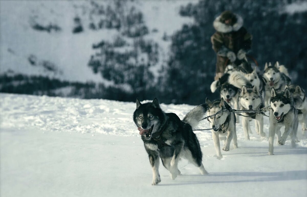 Горечь потери настолько стремительна