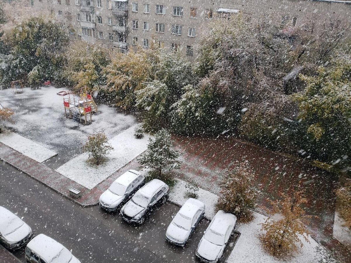 Снег первого сентября. Новосибирск засыпало снегом. Первый снег в Новосибирске. Снегопад в городе. Первый снег в городе.