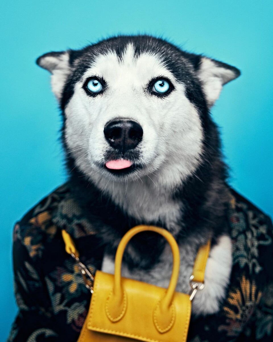    instagram.com/huskyekb admin