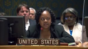    Фото: Wedemeyer David/USUN New York Ирина Амелина