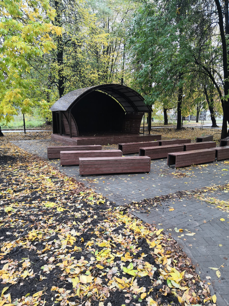 Осень в парке. Город Кстово Нижегородской области. Октябрь 2022.