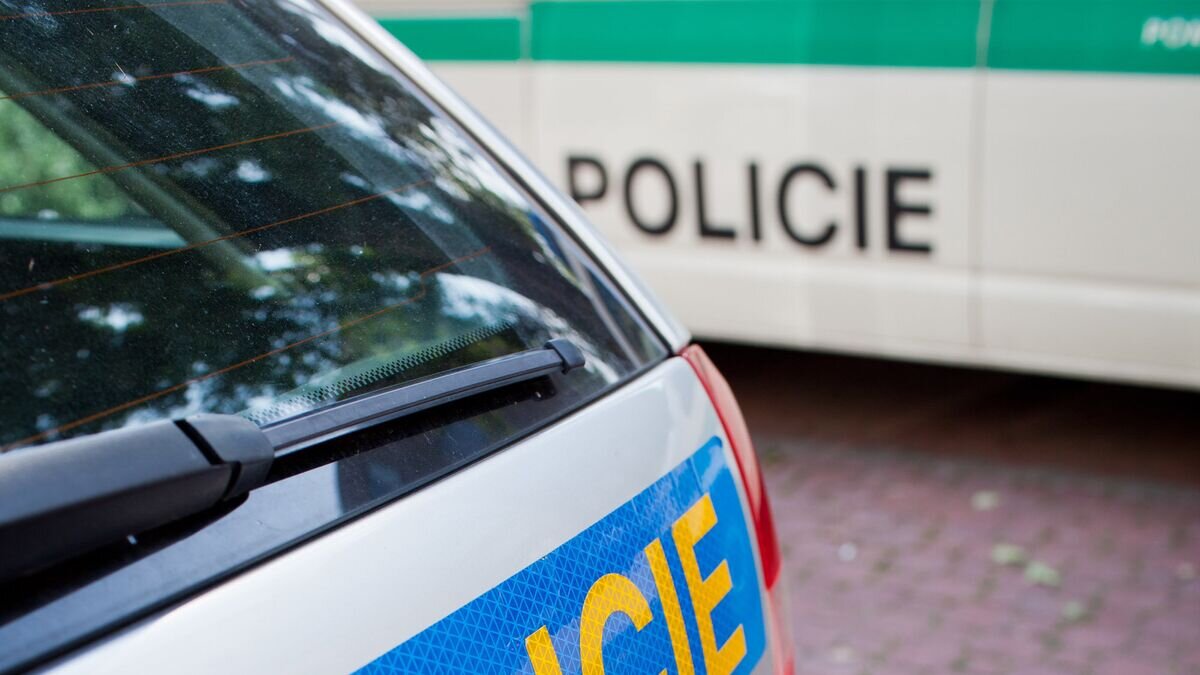    Автомобили полиции Чехии© Fotolia / lightpoet