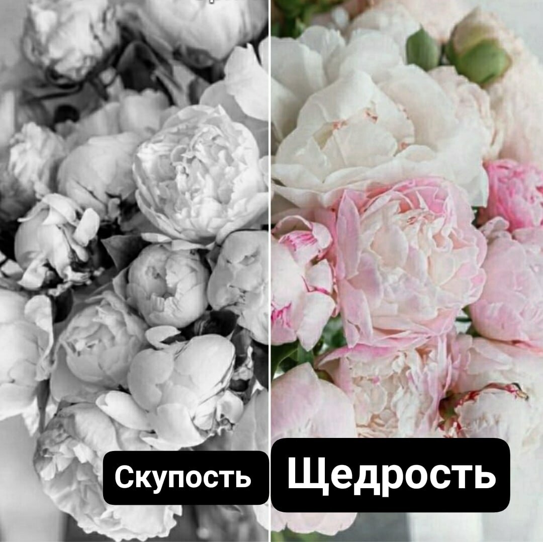 Фото из фотобанка Пинтерест в свободном доступе в обработке автора