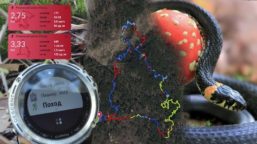 Тест Garmin descent mk1 в осенним лесу ЗМЕИ И БЕЛЫЕ