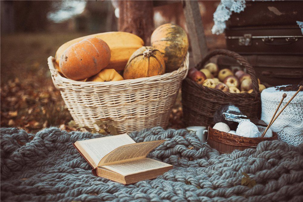 Фотография из открытых источников для настроения Cozy [кОузи] - уютный