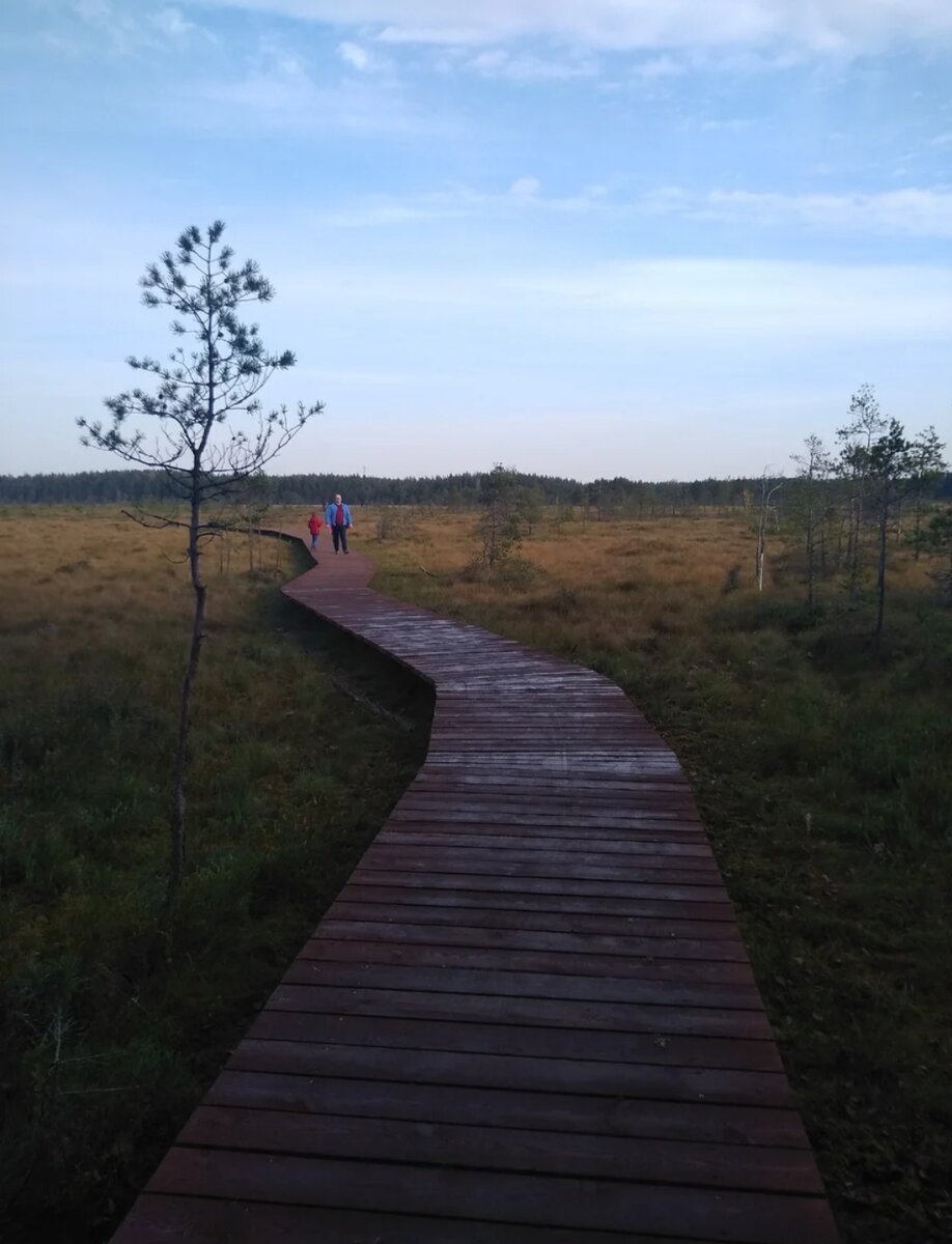Очень необычно и красиво.