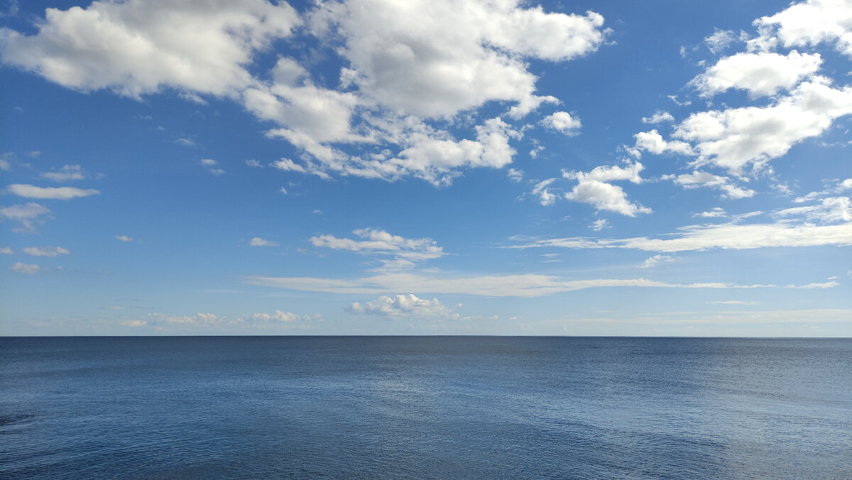 В первый день.