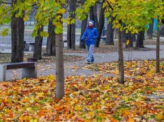    Осенняя погода //Фото с сайта inauka.ru