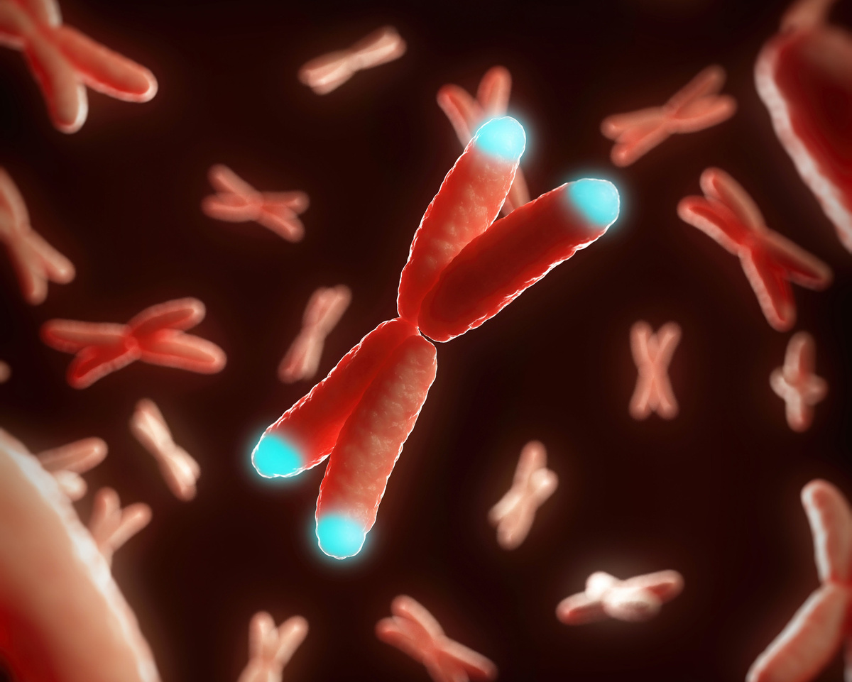     Хромосомы / Gettyimages.ru / SCIEPRO / SCIENCE PHOTO LIBRARY