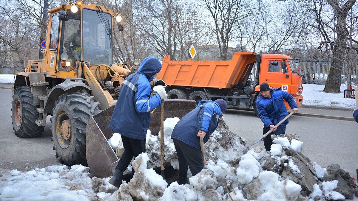    Фото: Анна Малакмадзе / Вечерняя Москва