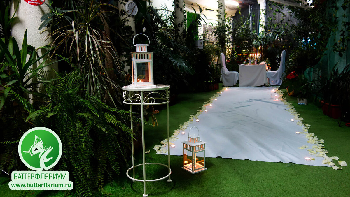 Церемония предложения руки и сердца в Баттерфляриуме