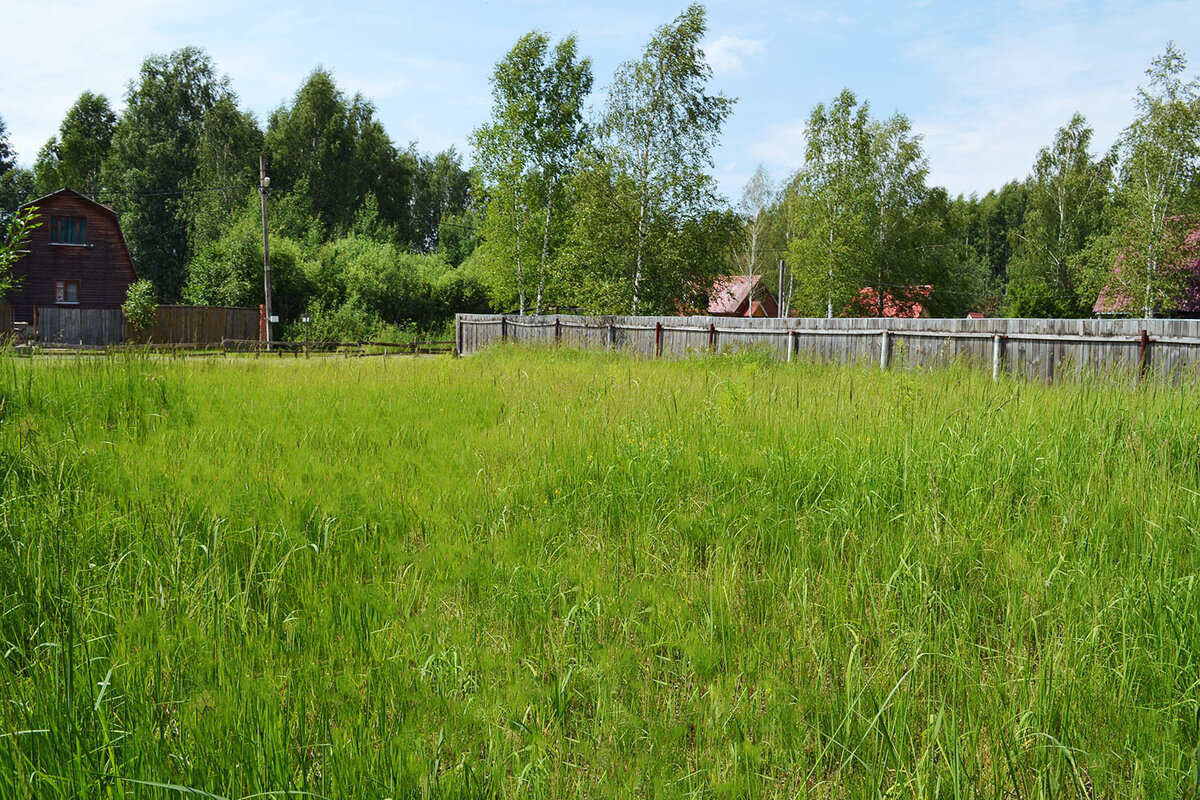 Картинка из nedmo.ru