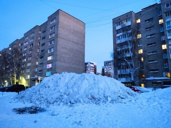     Фото: Анна Ковалева / "КП-Томск"