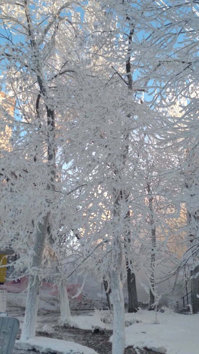 Сегодня в моем городе