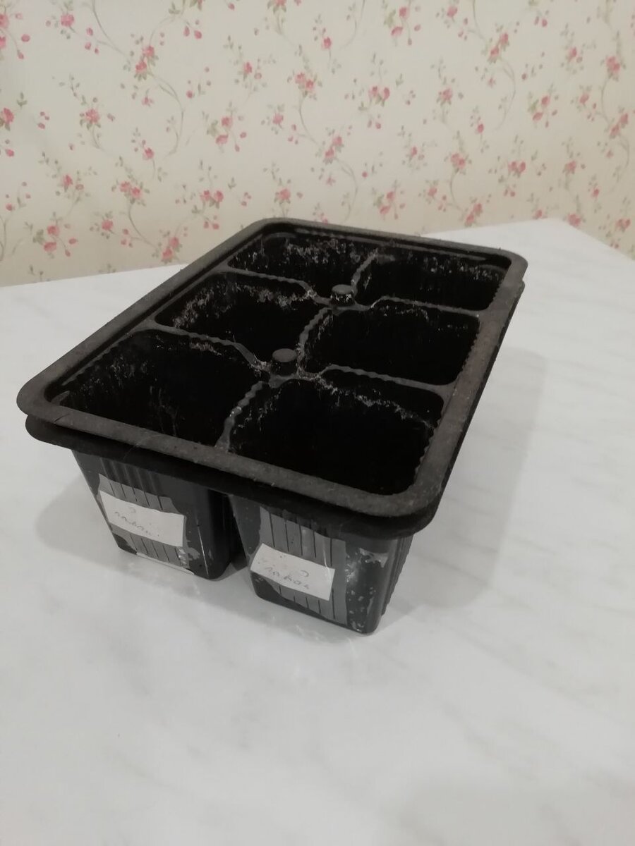 Контейнер для выращивания рассады