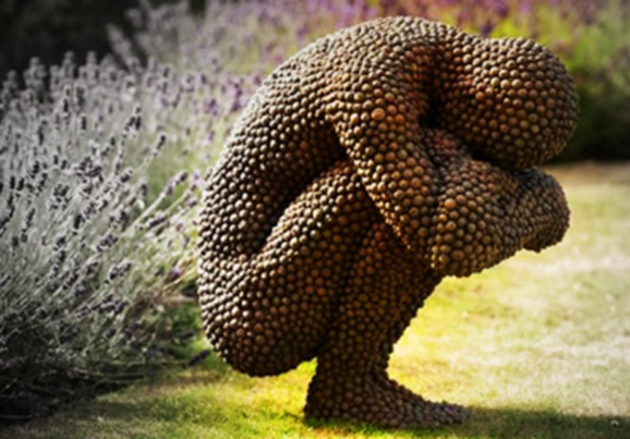 объект трипофобии.