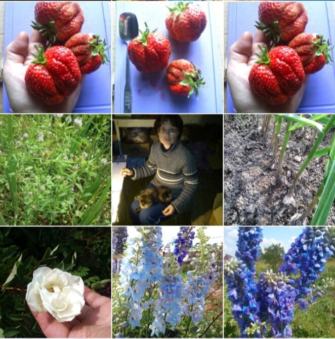 Фото автора