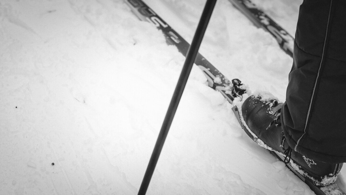     Дороги в поселке Новинки перекроют из-за массовой гонки «Лыжня России-2023». Введение ограничений прописано в постановлении, размещенном на сайте мэрии Нижнего Новгорода.