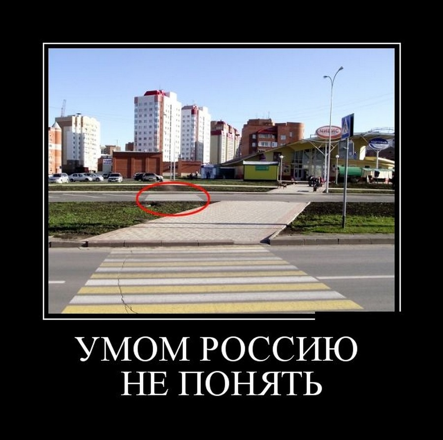 Демотиваторы в картинках