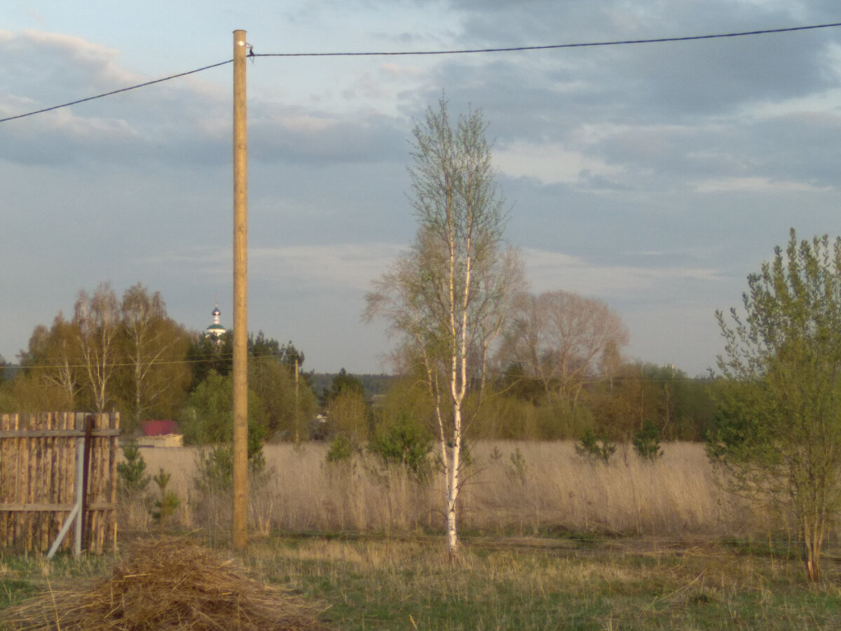 Пустой участок земли. Присоединить участок земли к своему. Пустой участок за Путина фото.