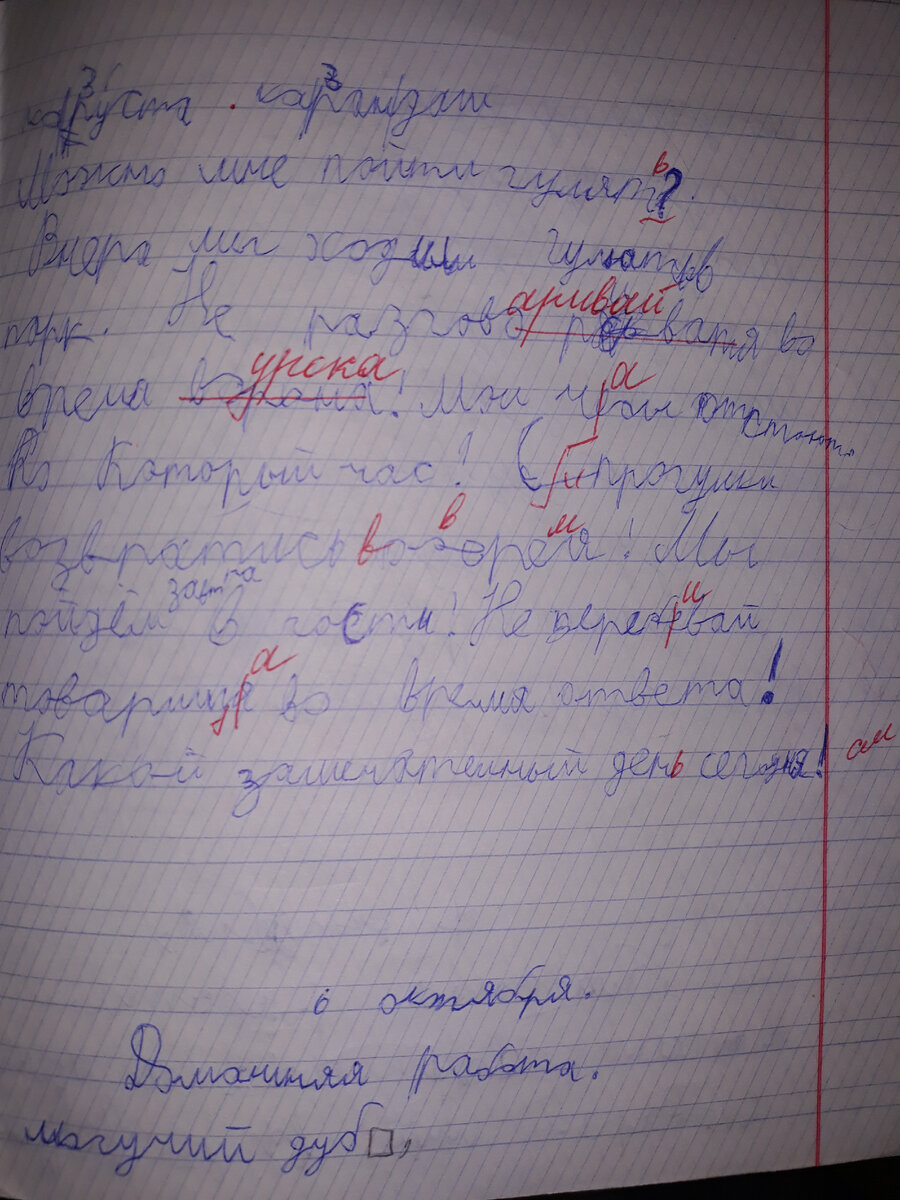 Дизартрия, дислексия, дисграфия, дизорфография. Наша цепочка диагнозов.  Часть 3. Что дальше? | Елена Еленина. Жизнь вдесятером | Дзен