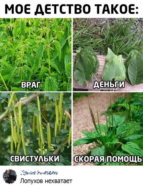 yaplakal.com пользователь evgenich1609