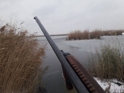 Ружьё автора статьи.