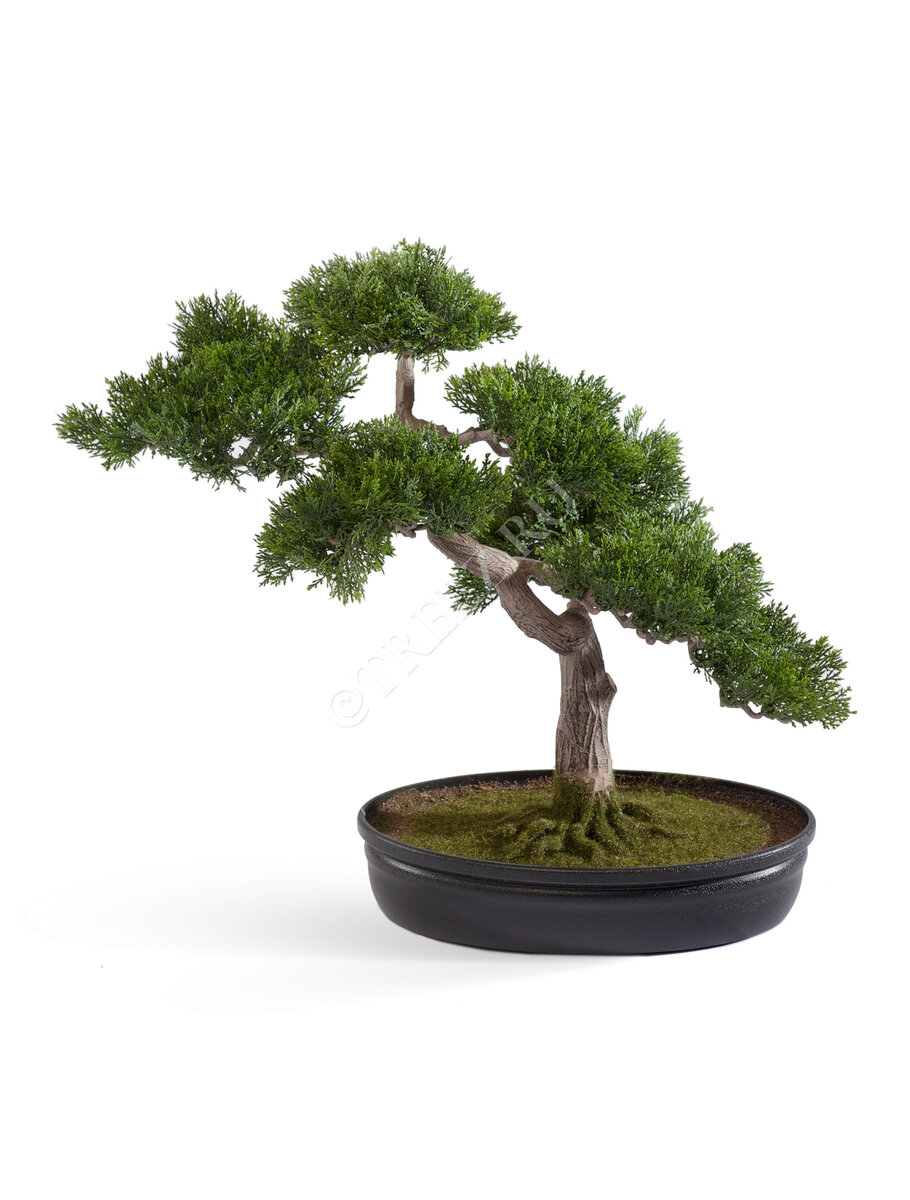 Искусственный бонсай в кашпо Treez Collection 