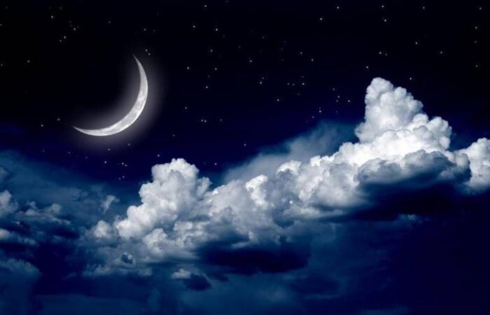 Фото: из открытых источников